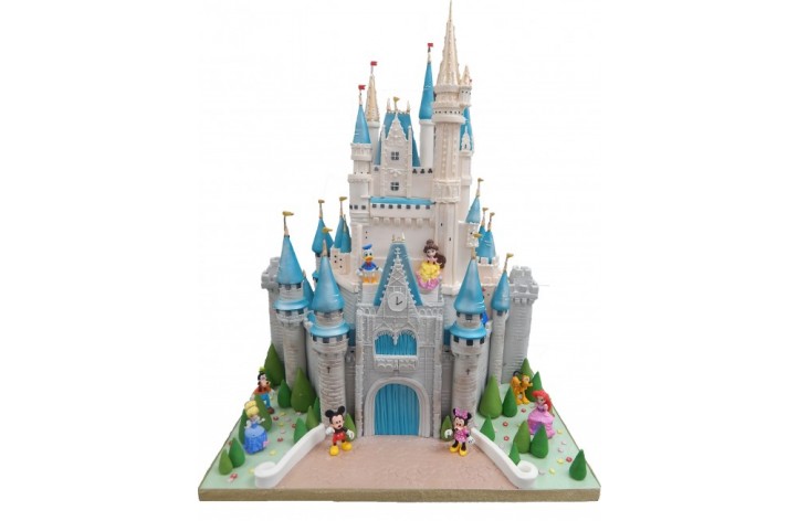 Magic Kingdom Disney Castle